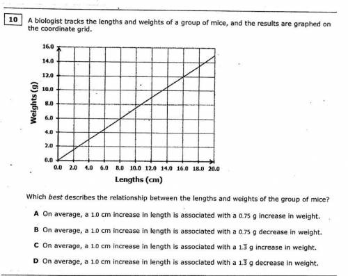 Please help someone

I will mark the person who answers with an actual answer brainliest
Please he