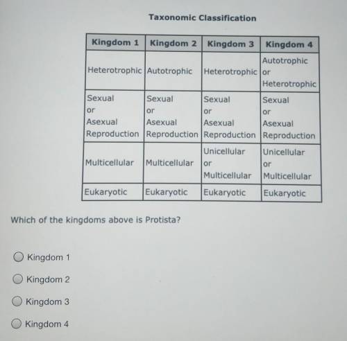 Which of the kingdoms above is Protista?​