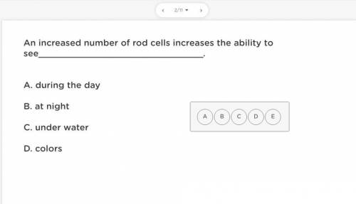 Question: An increased number of rod cells increase the ability to see, A. during the day B. at nig
