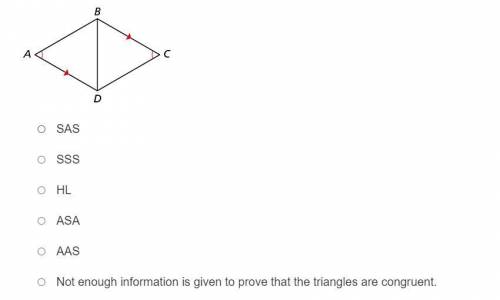Which congruence theorem, if any, can be used to prove that the triangles are congruent?