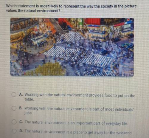 Which statement is most likely to represent the way the society in the picture values the natural e