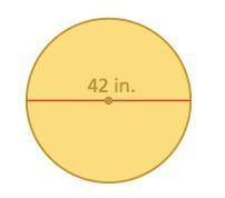 Find the circumference of the circle. Round your answer to the nearest hundredth.