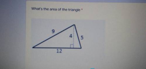 Find the area of the triangle​