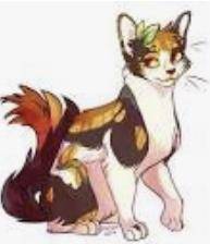 Guess the Warrior Cat!