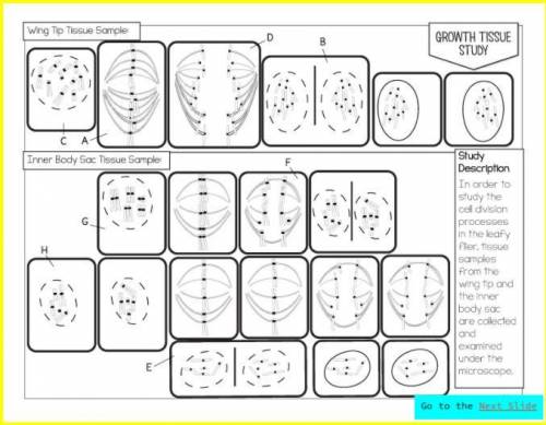 NOOO LINKS...Please help me, I really need it will mark brainiest

What cell division process is t