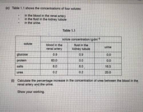 Calculate the percentage increase in the concentration of urea between the blood in the renal arter