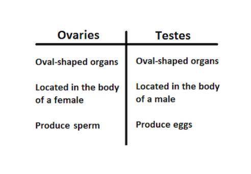GIVING BRAINLIEST!!! PLS HELP :((

Andy made a T-chart to compare the ovaries and testes. Look at