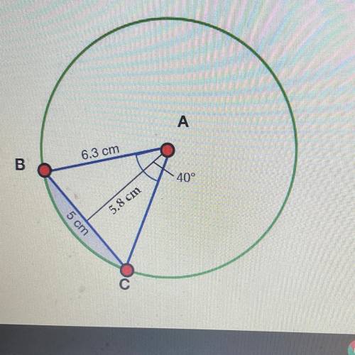 Please help

4. What is the area of the shaded region created by segment BC? (Look closely at the