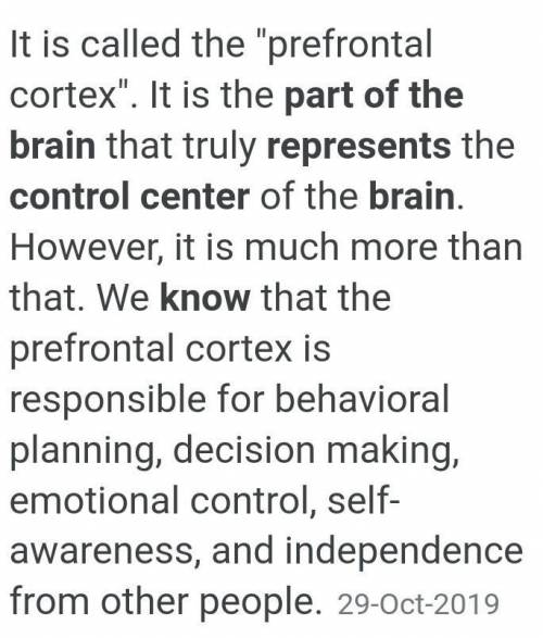 What part of the brain does the “control center” represent? How do you know? Explain in one paragrap