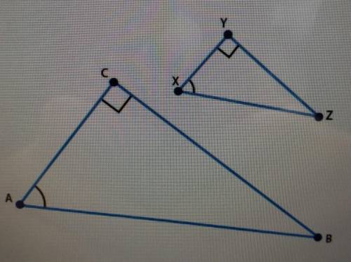 Triangle XYZ was dilated by a scale factor of 2 to create triangle ACB and tan <x=5÷2.5

Part A