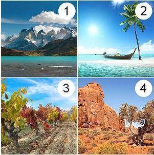 Which image matches the following weather forecast?

La temperatura en La Patagonia es de apenas -