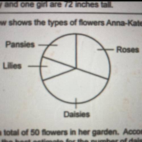 6. The circle graph below shows the types of flowers Anna-Kate planted in her garden.

Pansies
Ros