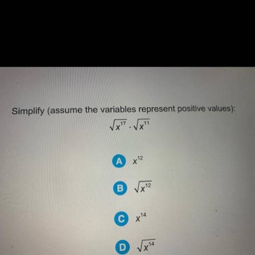 HELP TIMED QUESTION 30 POINTS