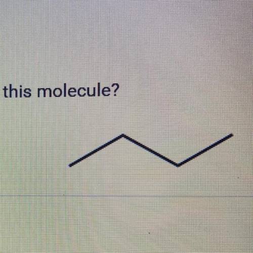What is the name of this molecule?

O A. Butane
O B. Propane
O C. Propene
O D. Butene