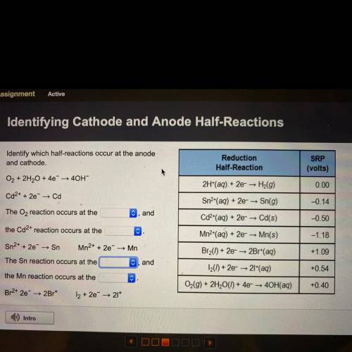 Identify which half-reactions occur at the anode

and cathode.
O2 + 2H2O + 4e + 40H-
Cd2+ + 2e → C