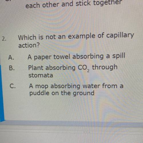 Which is not an example of capillary action?

A: A paper towel absorbing a spill
B: Plant absorbin