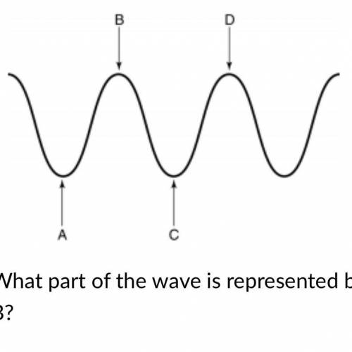 The diagram below shows a wave pattern.

What part of the wave is represented by B?
wavelength
cre