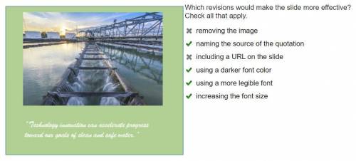 Which revisions would make the slide more effective? Check all that apply.

removing the image
nami