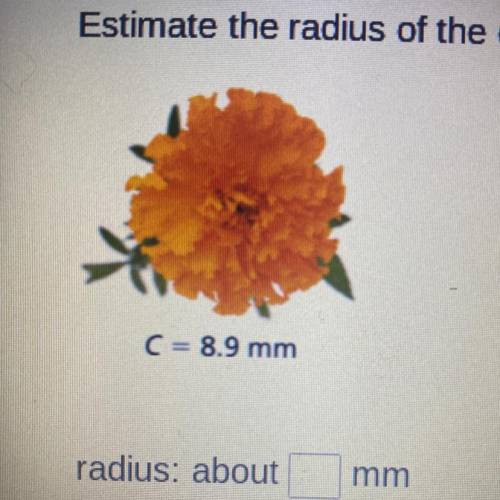 Estimate the radius of the object. Round to the nearest hundredth if necessary. (Don’t guess please