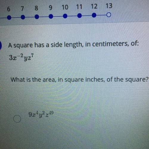 A square has a side length, in centimeters, of:

3x-2yz7
What is the area, in square inches, of th