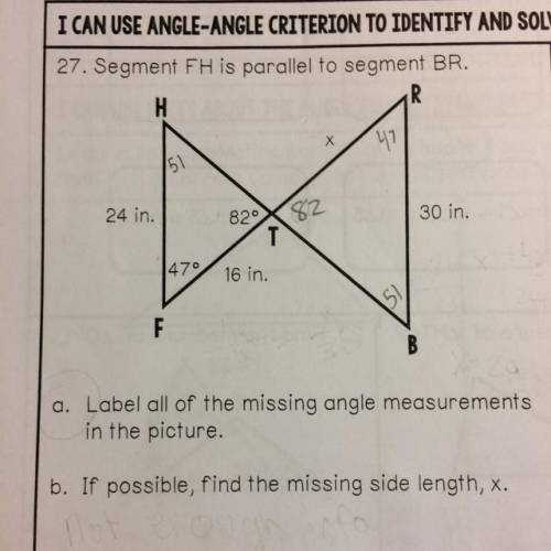 Are the angle measurements correct? Also, I need help finding the measurement of x, and if possible