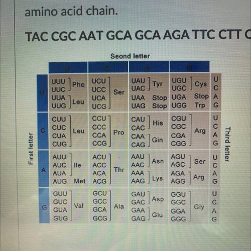The tRNA pairing and use the codon chart to write the

amino acid chain.
TAC CGC AAT GCA GCA AGA T