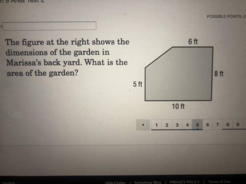 HELPP me pls it for test what the answer ?Thank you so much for your time