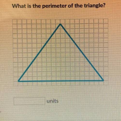 HELP PLS 
What is the perimeter of the triangle?