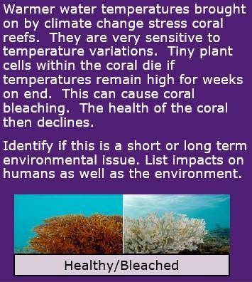 Warmer water temperature brought on by climate change stress coral reefs. They are very sensitive t