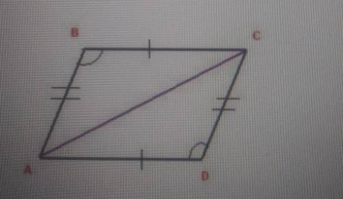 Using only the information given in the diagram, which triangle congruence criterion/criteria can b