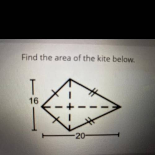 Find the area of the kite below.