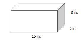 13. Use a net to find the surface area of the prism.