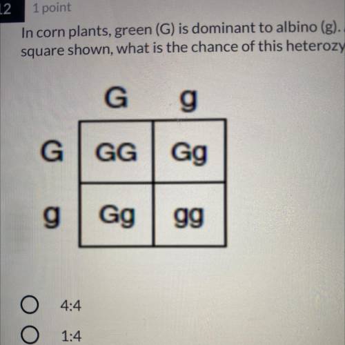 In corn plants, green (G) is dominant to albino (g). According to the Punnett

square shown, what