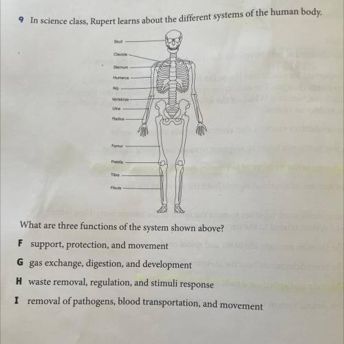 9 In science class, Rupert learns about the different systems of the human body.
 

Smum
Names
RID