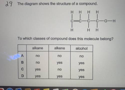Diagram shows a structure of compound. To which classes of compound does this molecule belong?