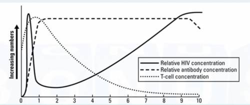 1. Using the graph, describe the events that occur in the body during the first year of

HIV infec