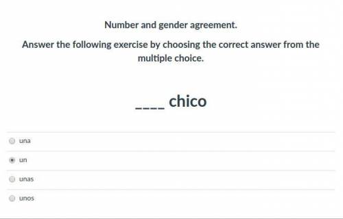 Number and gender agreement.