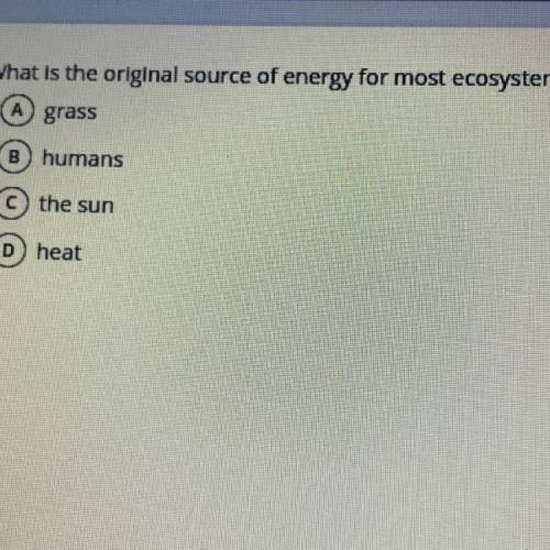 What is the original source of energy for most ecosystems?

A grass
B) humans
C)the sun
D)heat
