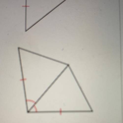 Is this triangle congruent by

SAS
SSS
ASA
HL
HA
LL
LA
Not enough information