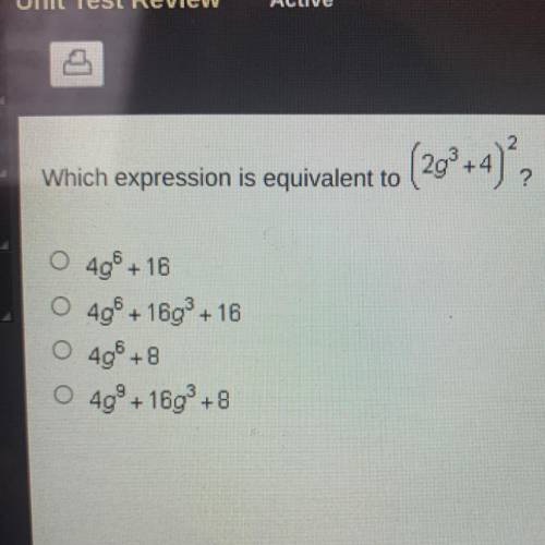 Which expression is equivalent to
(2g2+4)
?