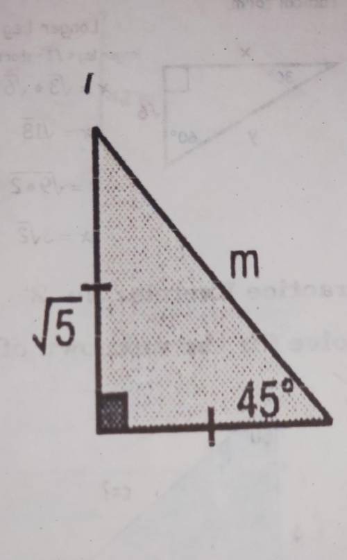 Using the 45o −45o −90o Triangle theorem.Solve this triangle.​