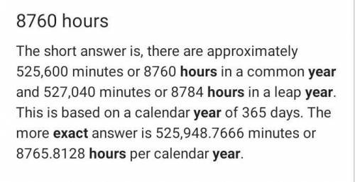 How many hours in a year?​