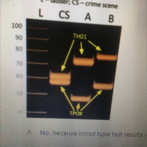 Is this STR analysis enough to convict suspect B with 100% certainty?

A No, because blood type te