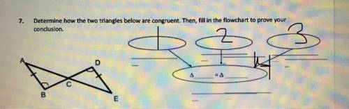 Determine how the two triangles are congruent

 
please fill in all the circles
Then can you answer
