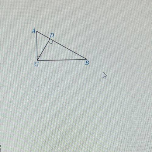 Given that ABC is a right triangle and CD is perpendicular to AB, which proportions

are true? Sel