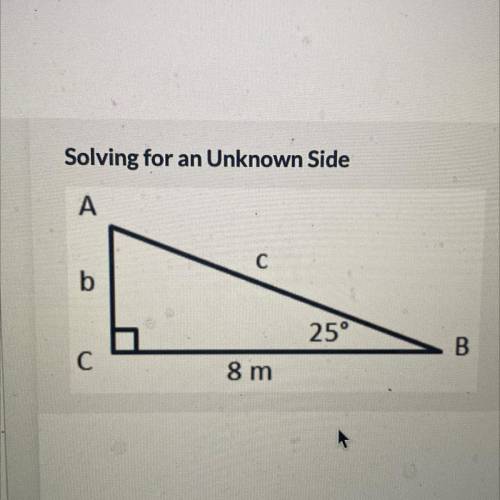Find the length of side b 
B= _m