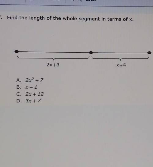Find the length of the whole segment in terms of x​