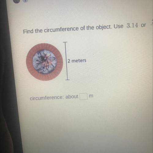 Find the circumference of the object.
2 meters