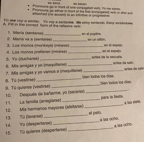 Fill in with the correct form in spanish