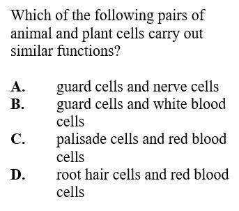 Which of the following pairs of animal and plant cells carry out similar functions